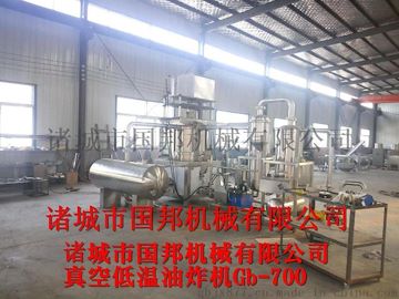 供应苹果干真空油炸机 负压状态真空油炸 果蔬脆片真空油炸机