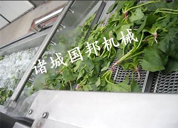 蔬菜清洗机-滚筒式气泡清洗机-高压清洗机